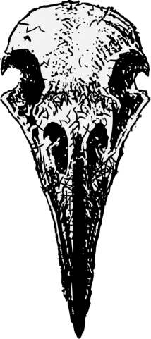 raven_skull